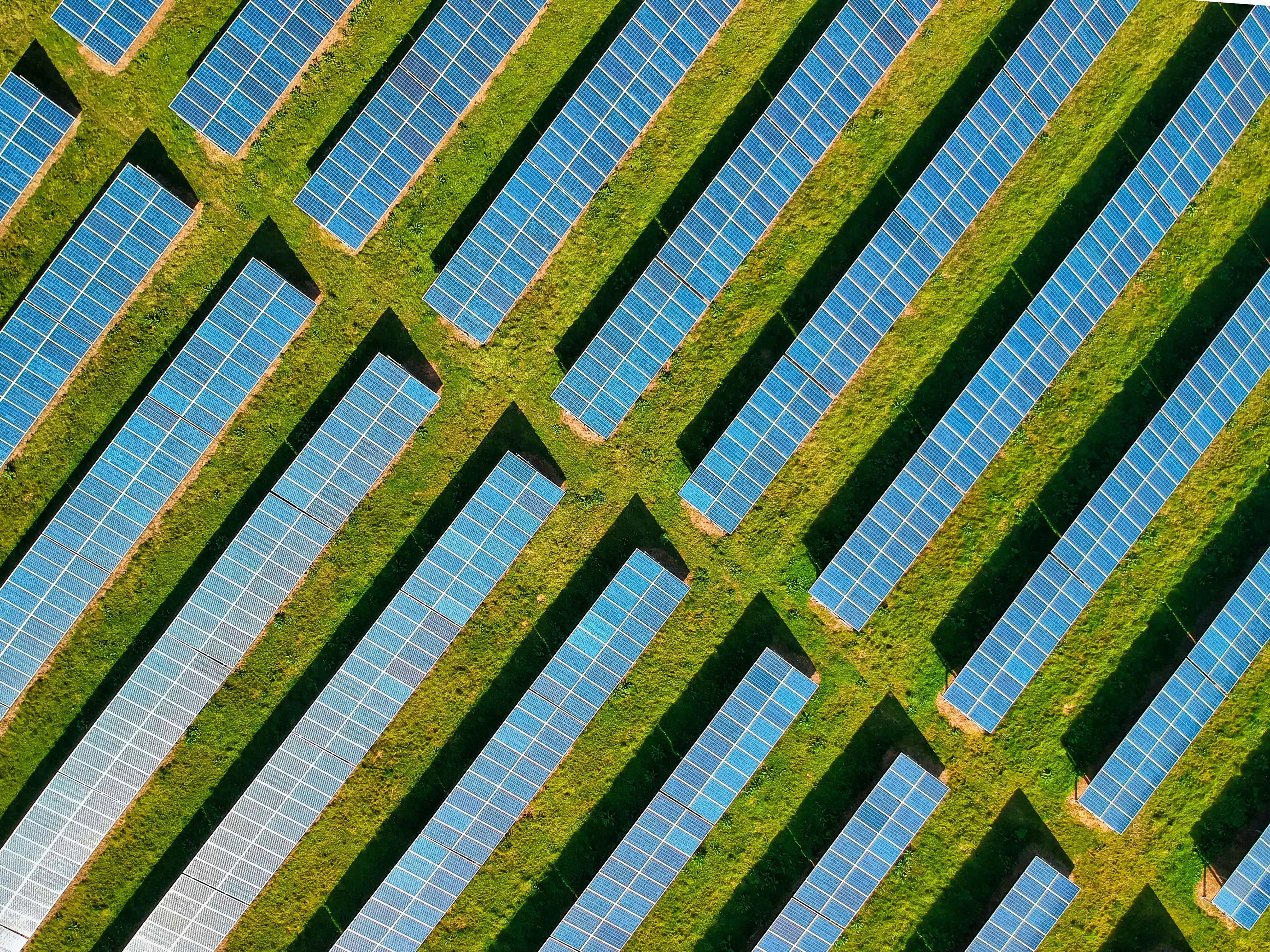 solar on green